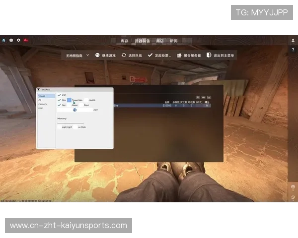 CS2视觉辅助设置：开启“数字震动”，让你的敌人无所遁形💎